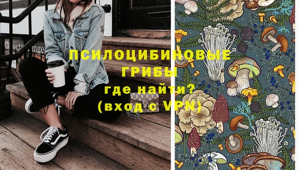 спиды Ладушкин