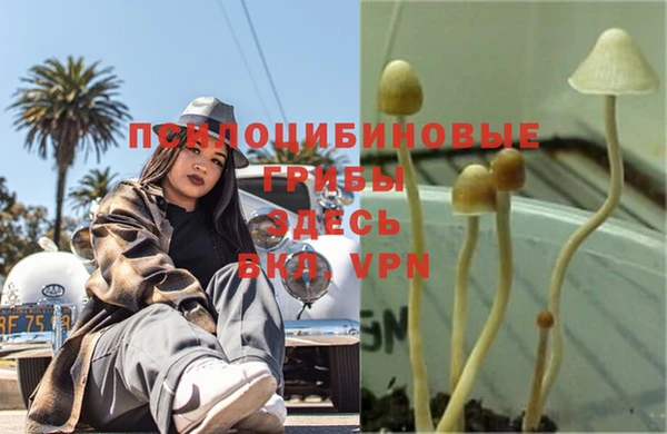 мяу мяу кристалл Лагань