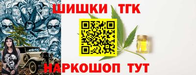 спиды Гагарин