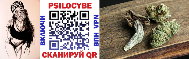 закладки  Каменск-Уральский  Галлюциногенные грибы Psilocybe 