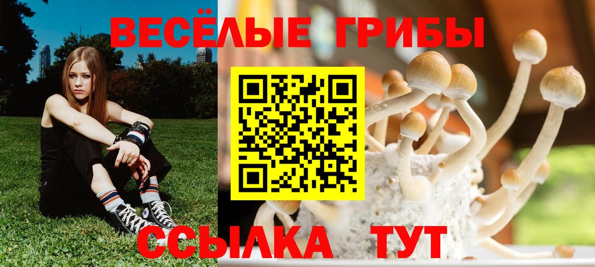 Каменск-Уральский  Псилоцибиновые грибы GOLDEN TEACHER  Вход с VPN 