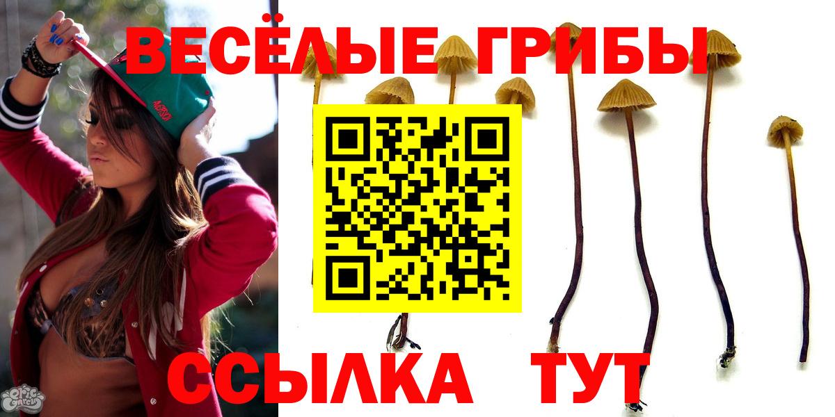 Псилоцибиновые грибы GOLDEN TEACHER Каменск-Уральский